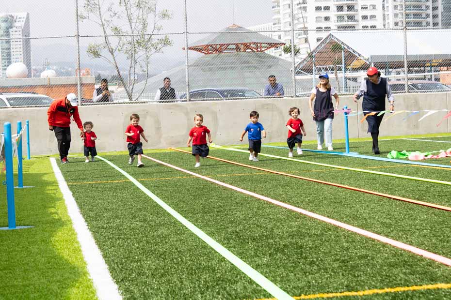 Ir a la Siguiente Foto