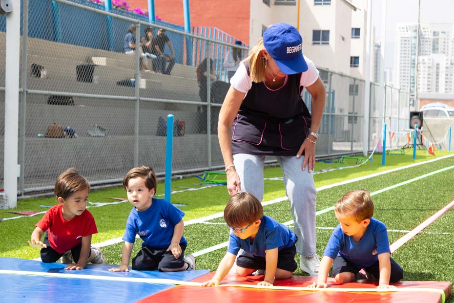 Ir a la Siguiente Foto