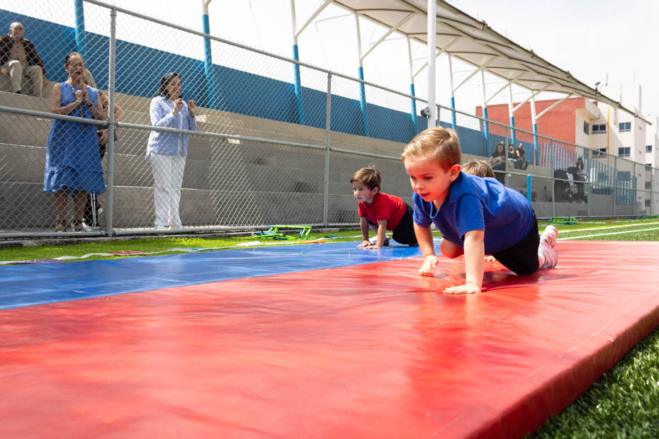 Ir a la Siguiente Foto