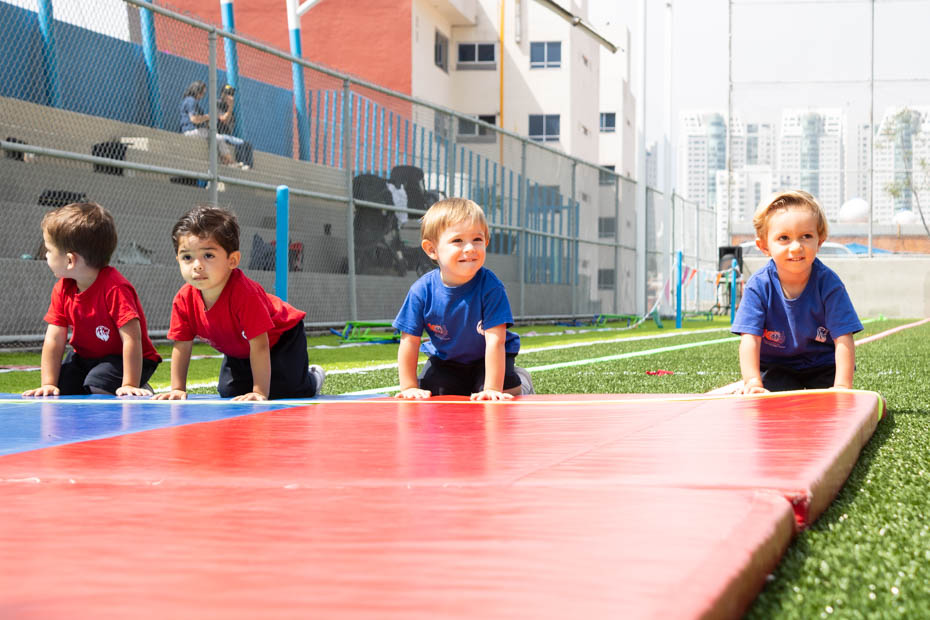 Ir a la Siguiente Foto