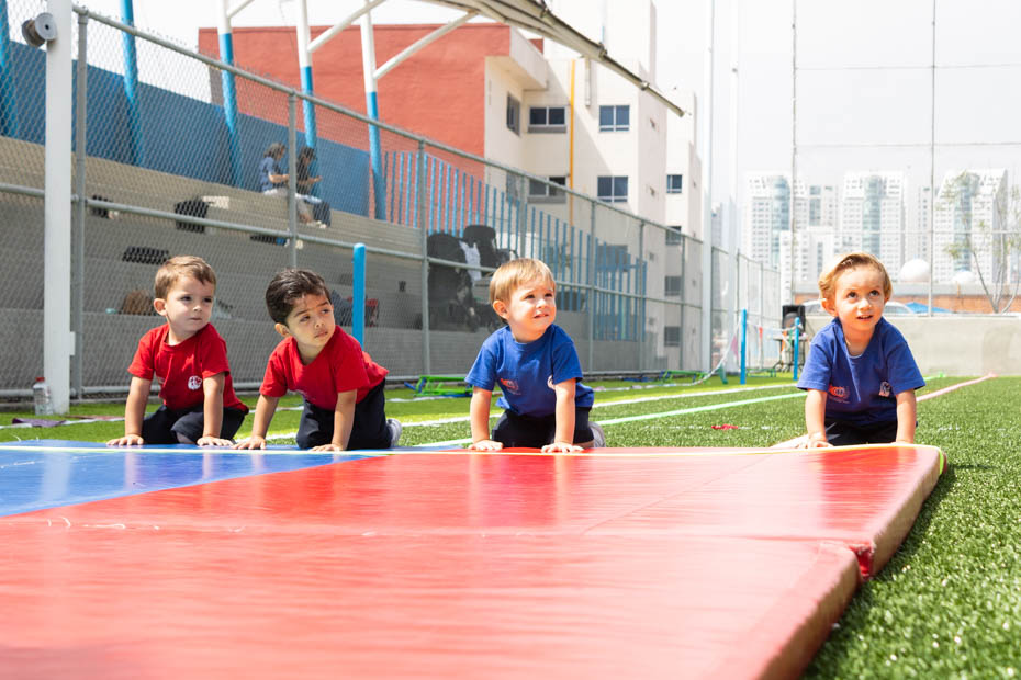 Ir a la Siguiente Foto