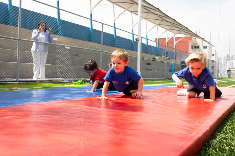 Ir a la Siguiente Foto