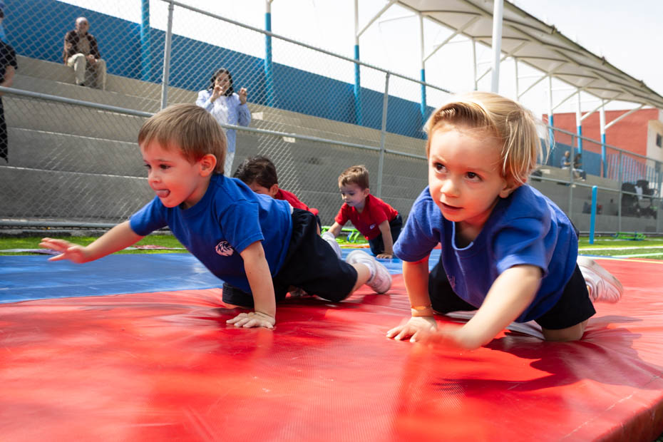 Ir a la Siguiente Foto