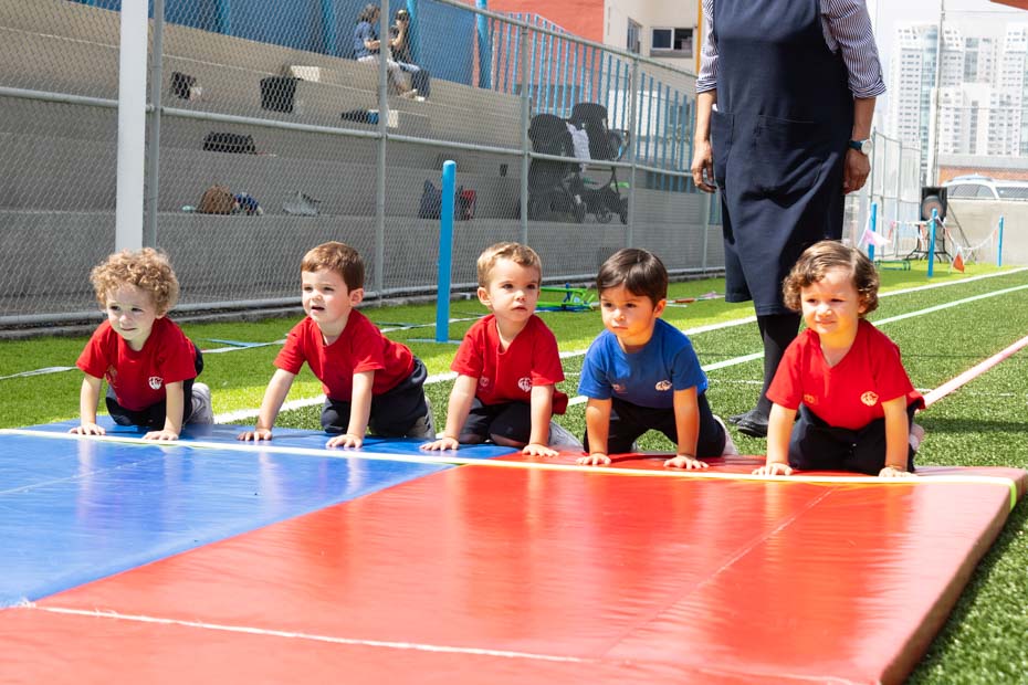 Ir a la Siguiente Foto