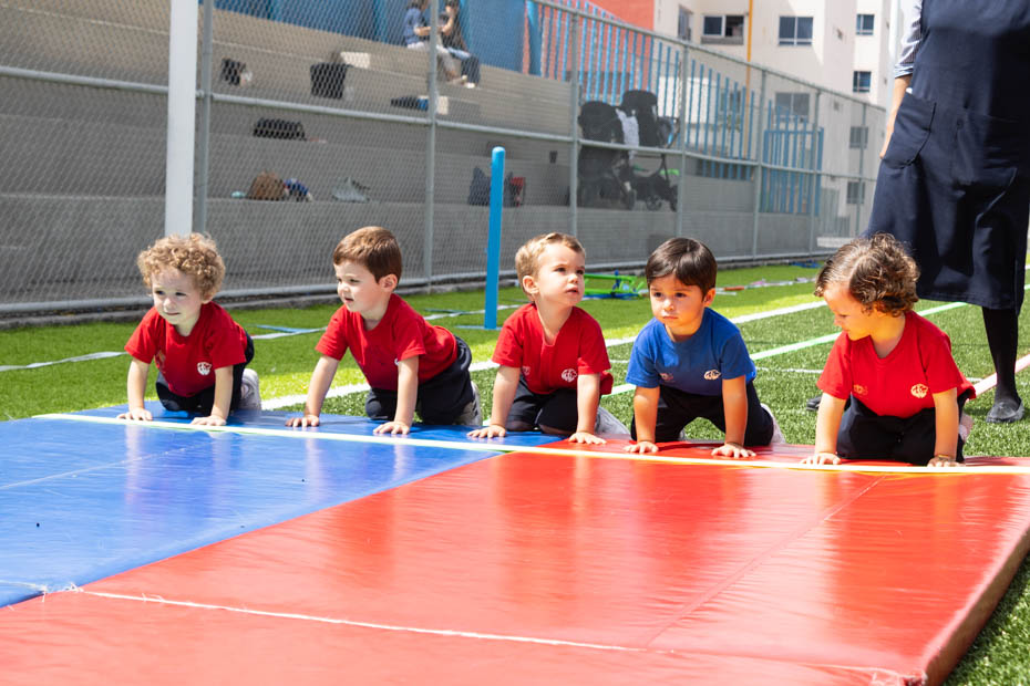 Ir a la Siguiente Foto