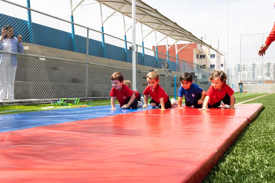 Ir a la Siguiente Foto