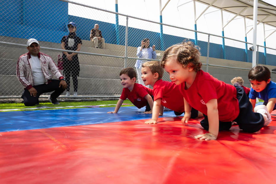 Ir a la Siguiente Foto