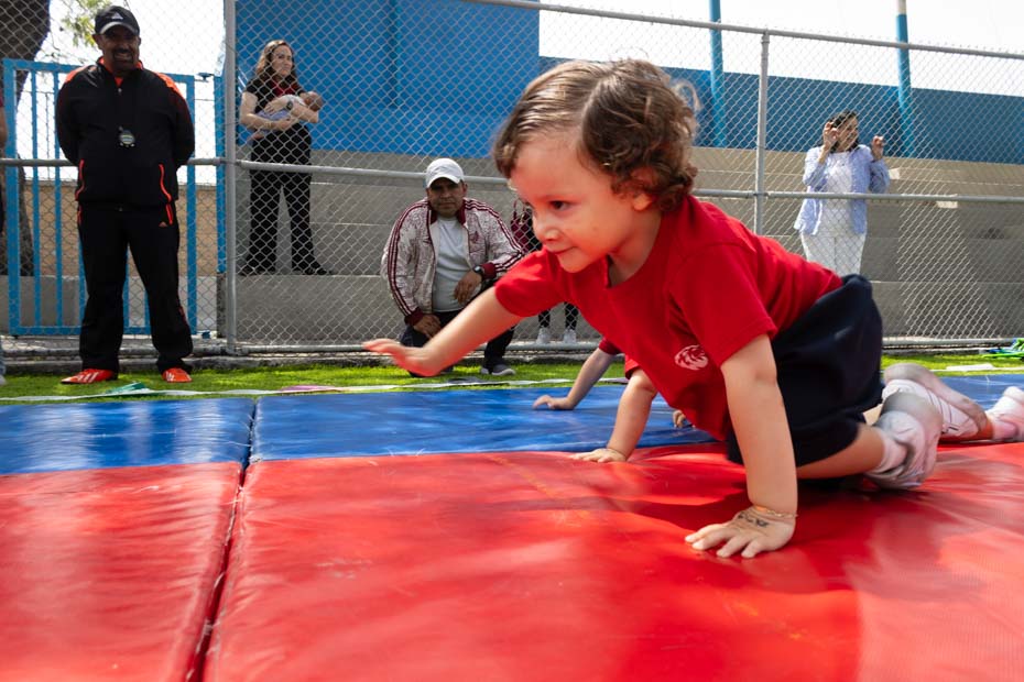 Ir a la Siguiente Foto