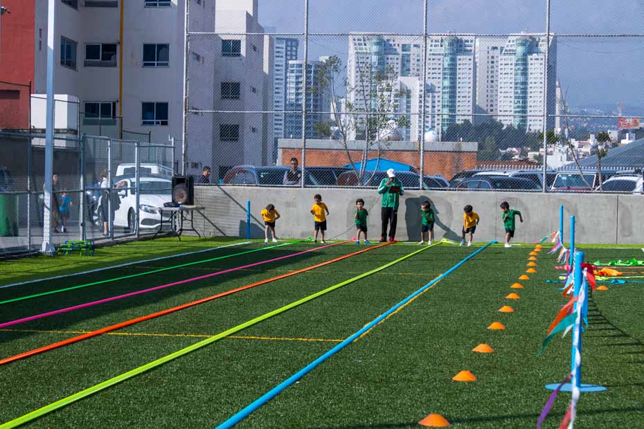 Ir a la Siguiente Foto