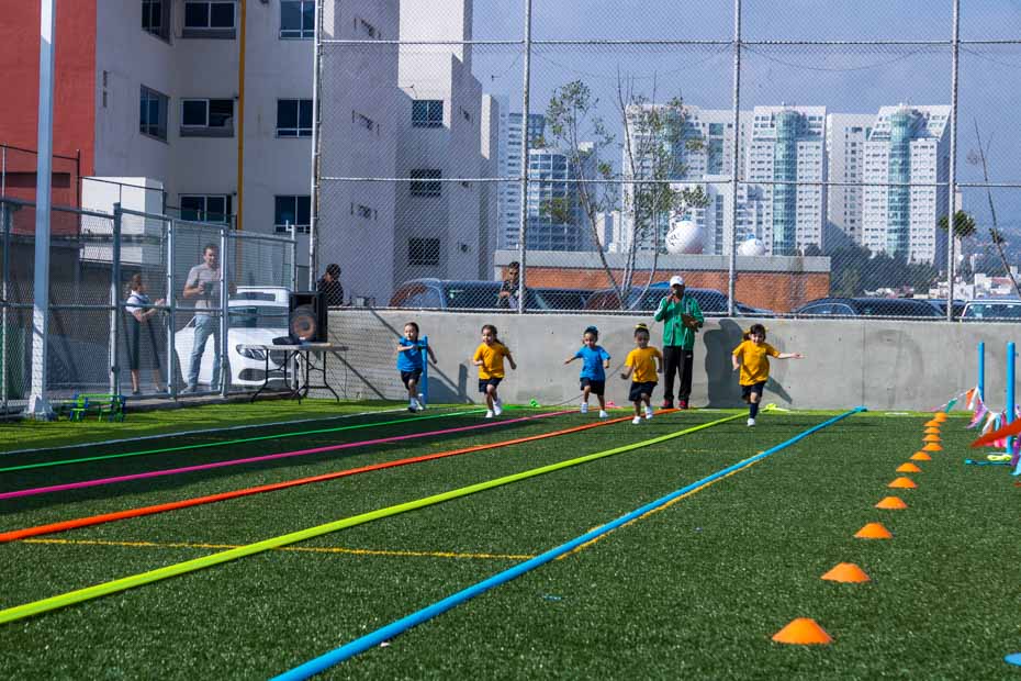 Ir a la Siguiente Foto