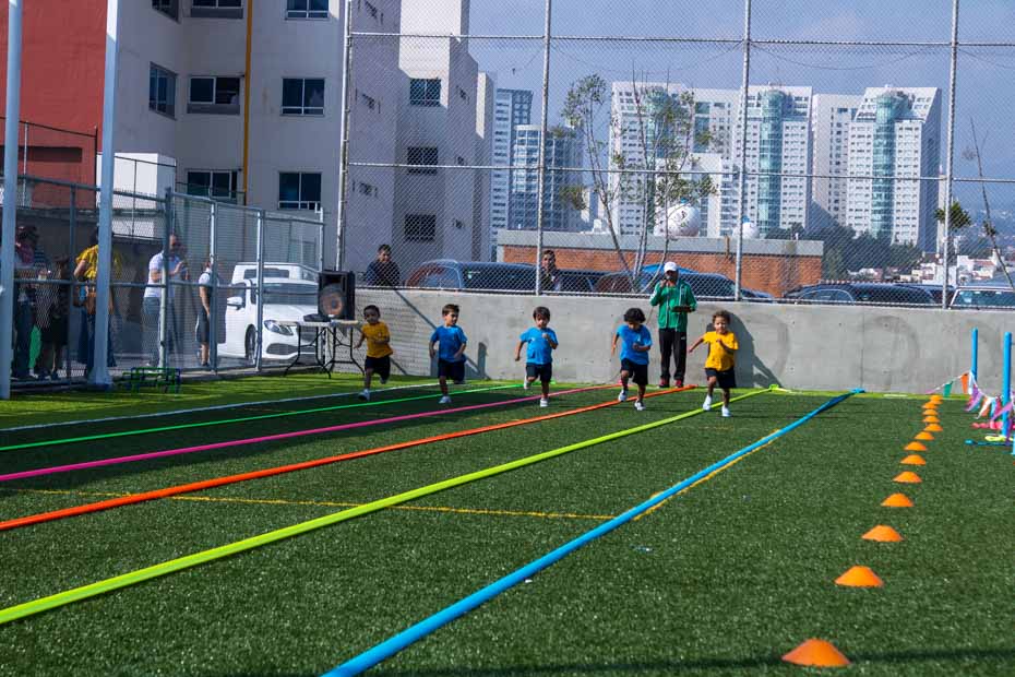 Ir a la Siguiente Foto