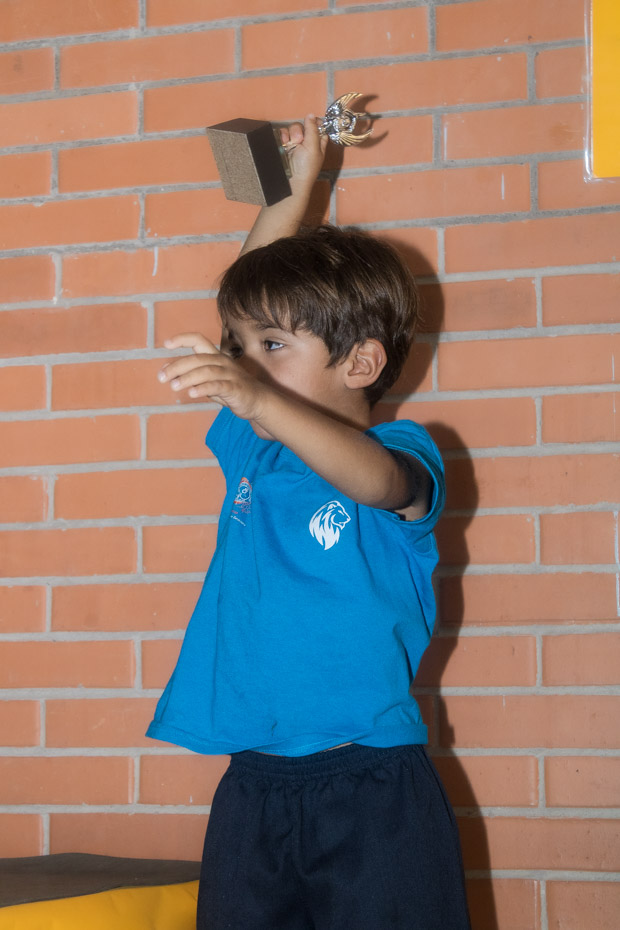 Ir a la Siguiente Foto