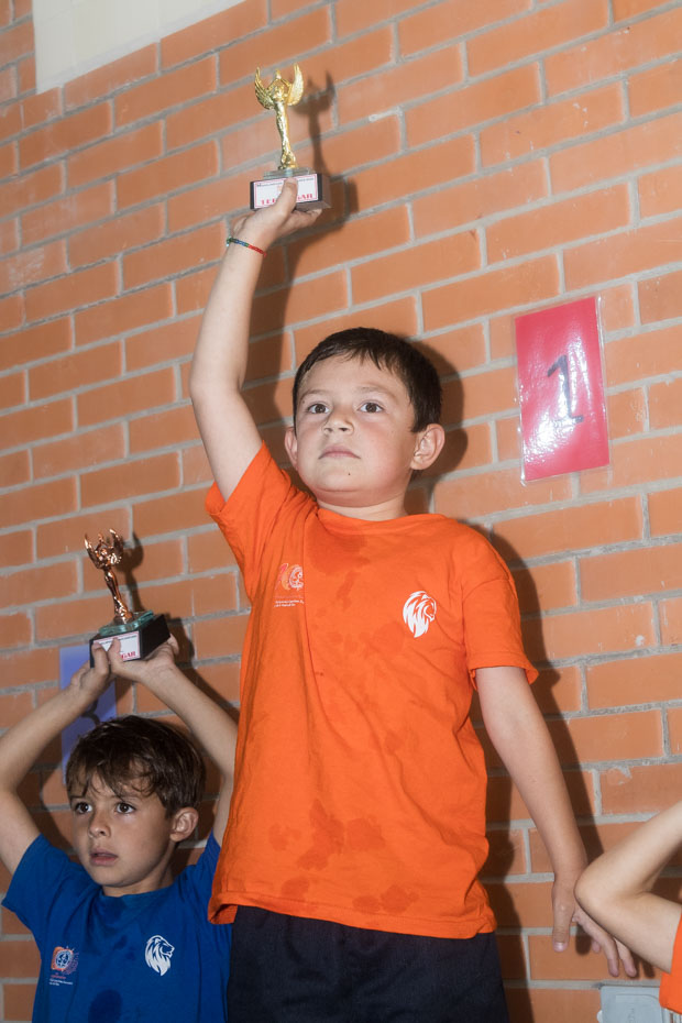 Ir a la Siguiente Foto