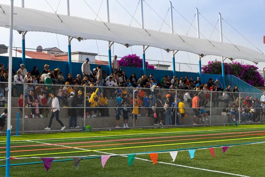 Ir a la Siguiente Foto