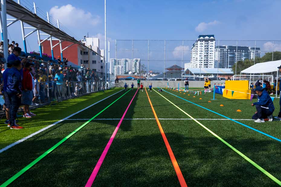 Ir a la Siguiente Foto