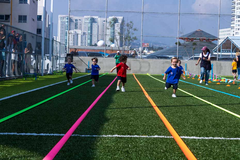 Ir a la Siguiente Foto