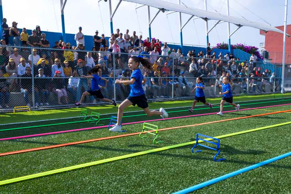 Ir a la Siguiente Foto