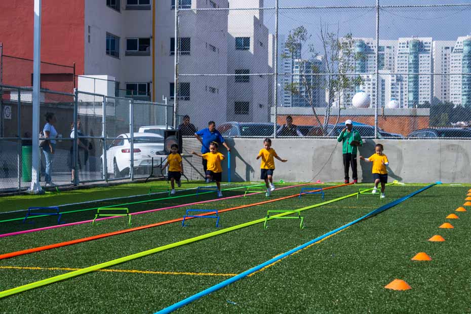 Ir a la Siguiente Foto