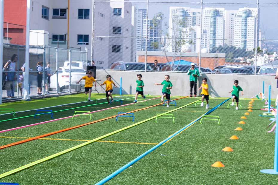 Ir a la Siguiente Foto