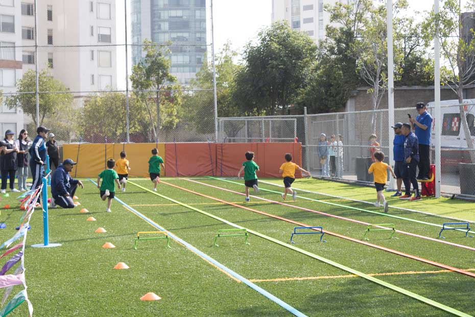 Ir a la Siguiente Foto