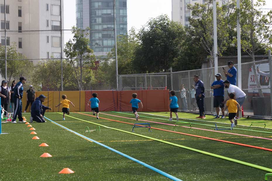 Ir a la Siguiente Foto