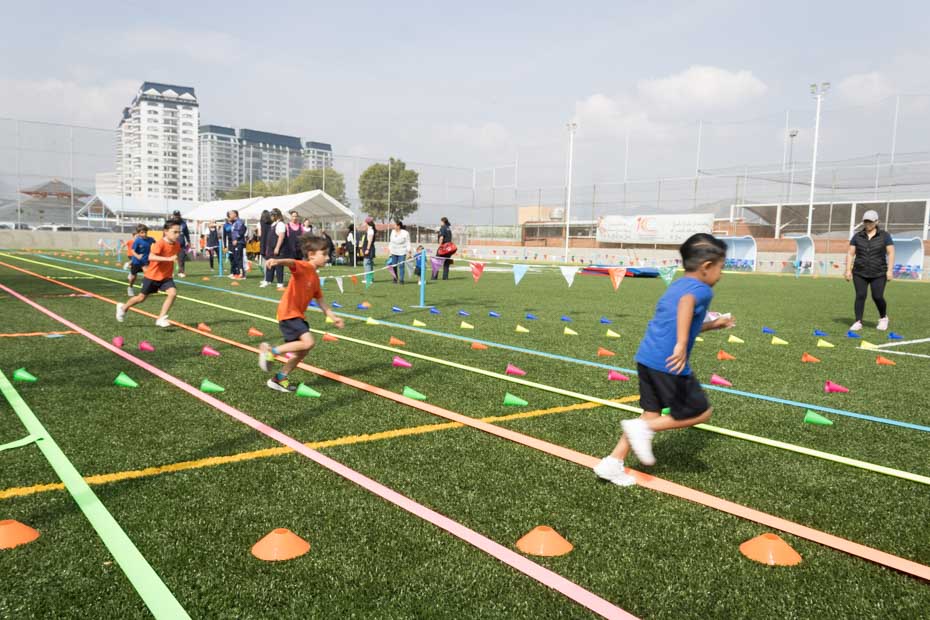 Ir a la Siguiente Foto