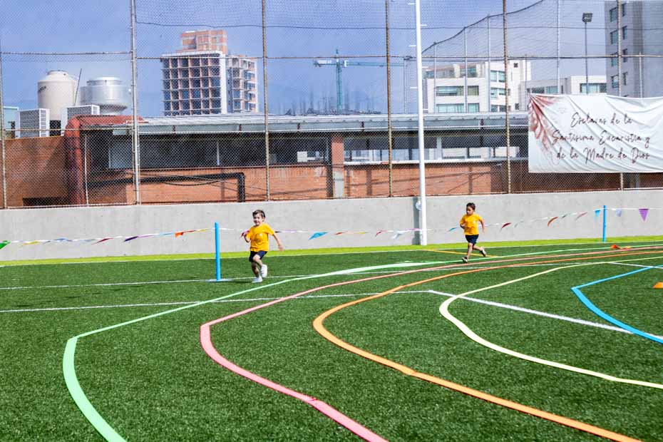 Ir a la Siguiente Foto