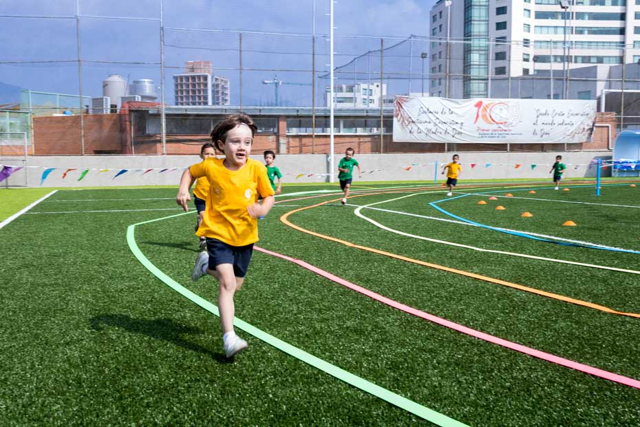 Ir a la Siguiente Foto