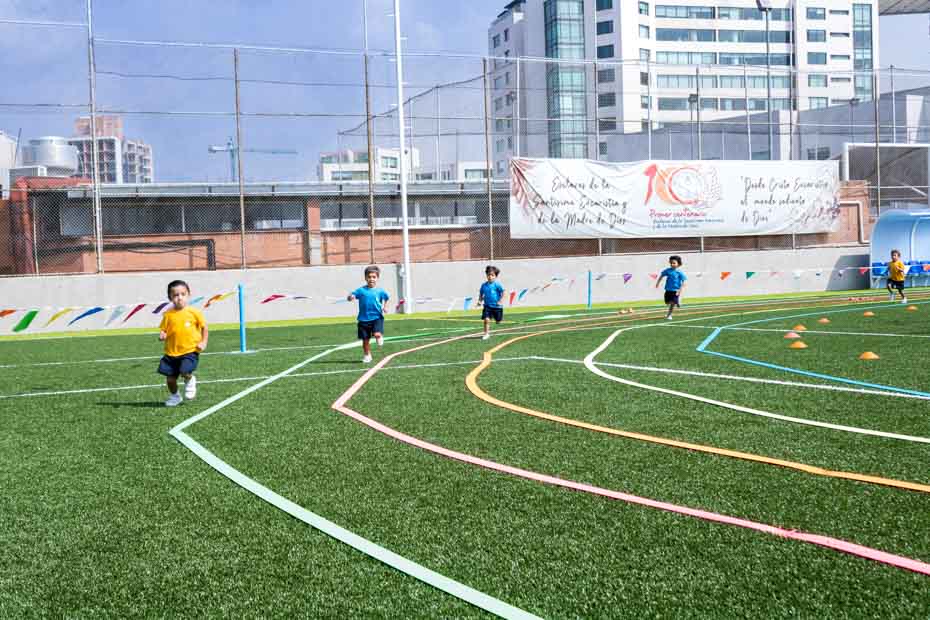 Ir a la Siguiente Foto