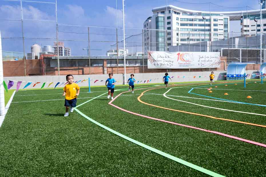 Ir a la Siguiente Foto