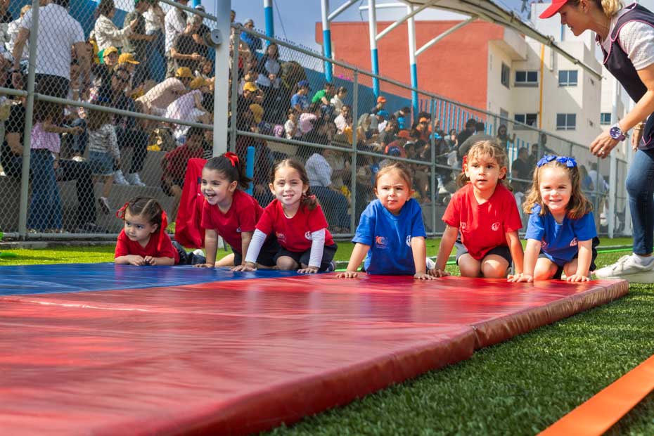 Ir a la Siguiente Foto