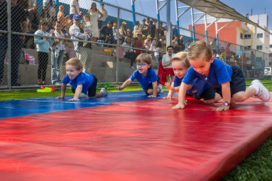 Ir a la Siguiente Foto