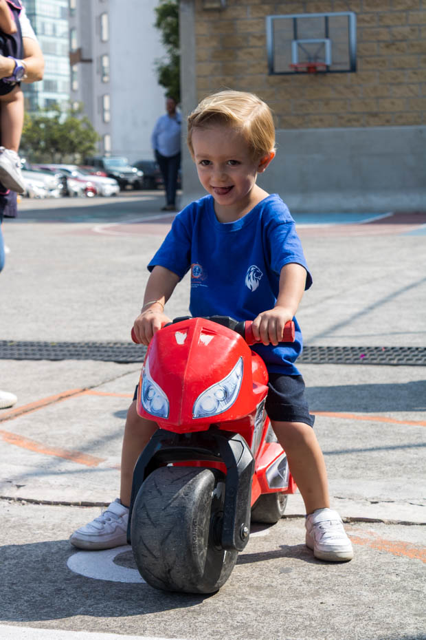 Ir a la Siguiente Foto