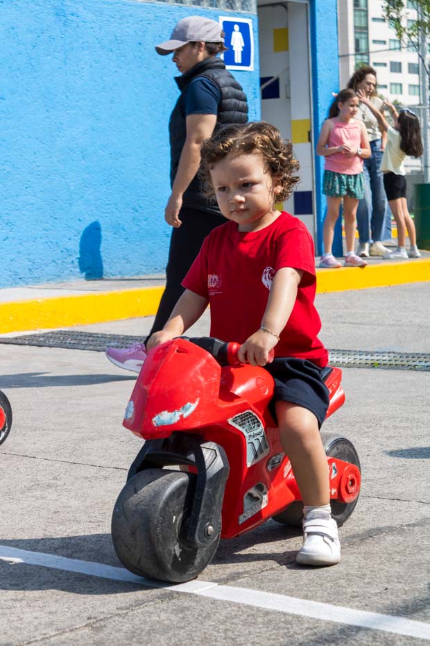 Ir a la Siguiente Foto