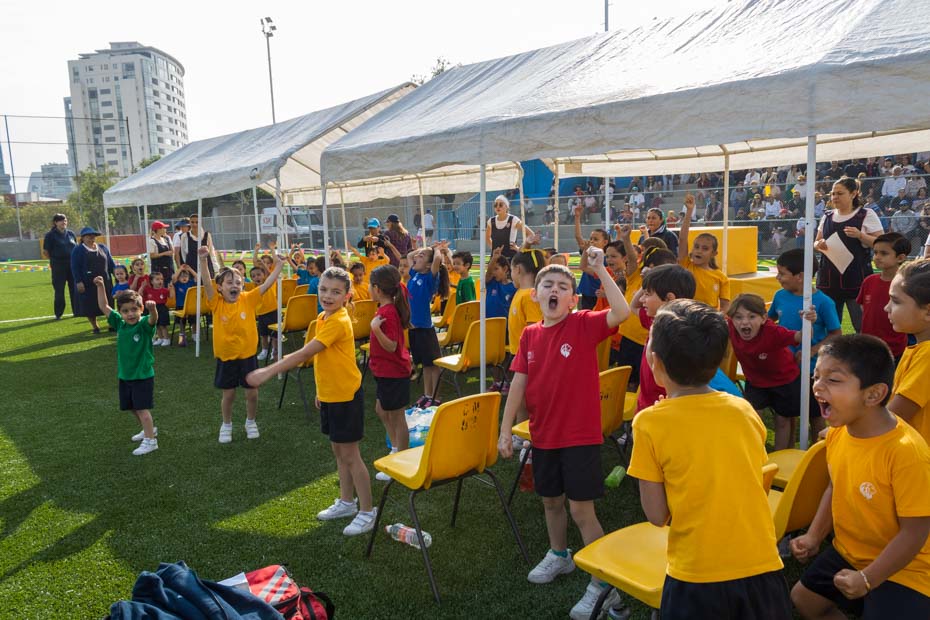 Ir a la Siguiente Foto