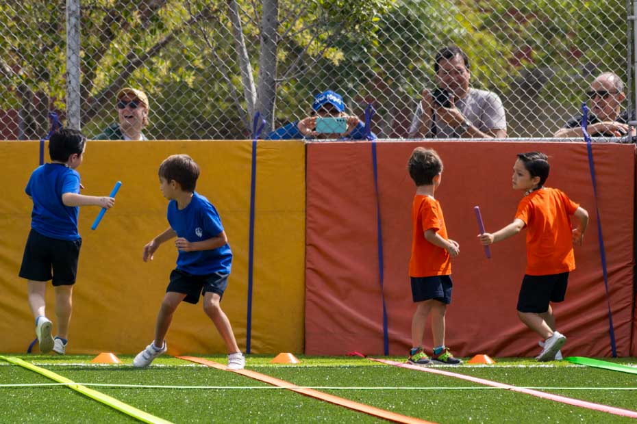 Ir a la Siguiente Foto