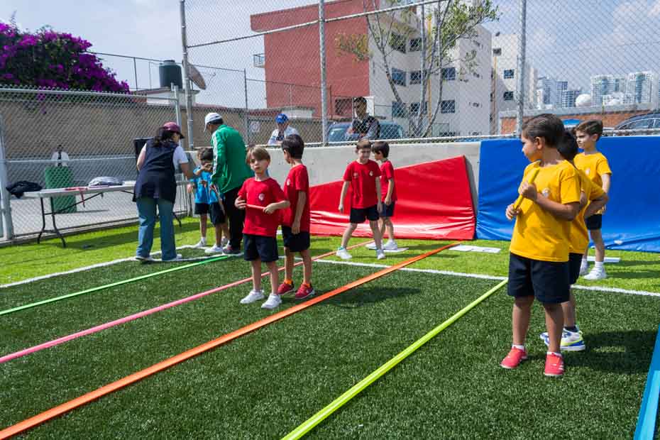 Ir a la Siguiente Foto