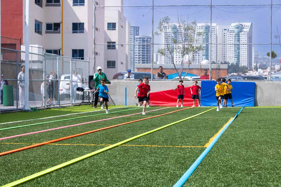 Ir a la Siguiente Foto