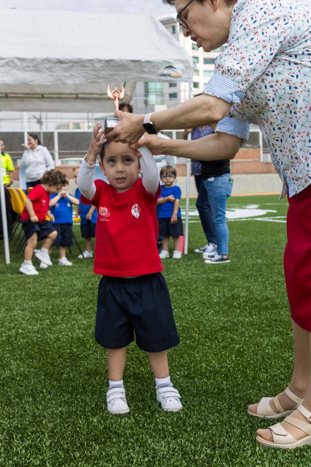 Ir a la Siguiente Foto