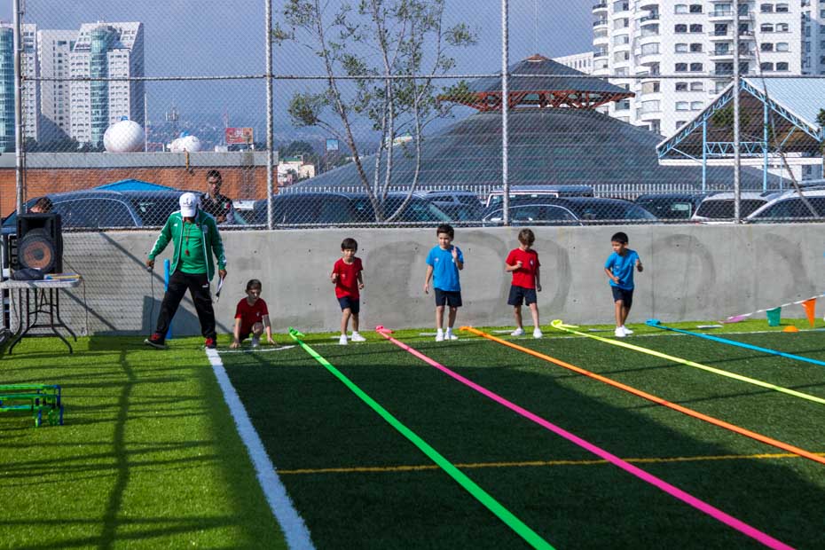 Ir a la Siguiente Foto