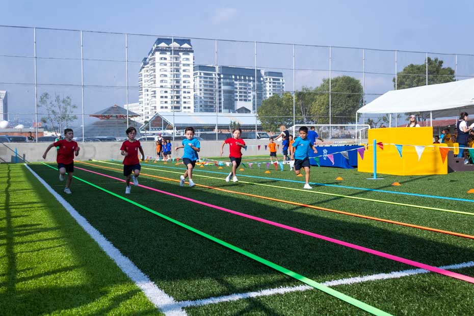 Ir a la Siguiente Foto