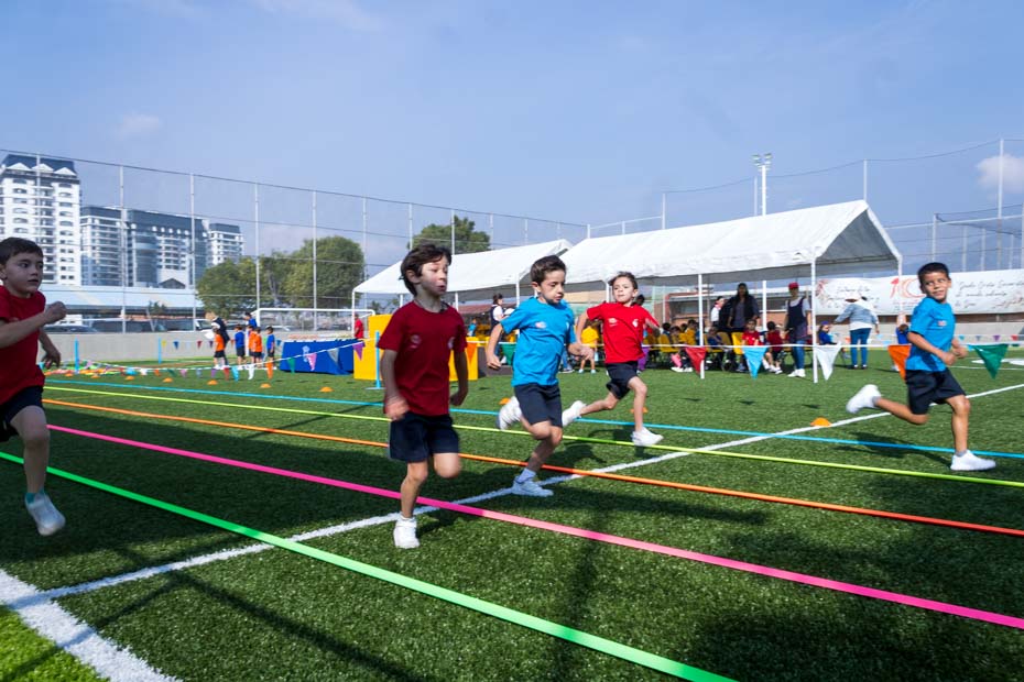 Ir a la Siguiente Foto