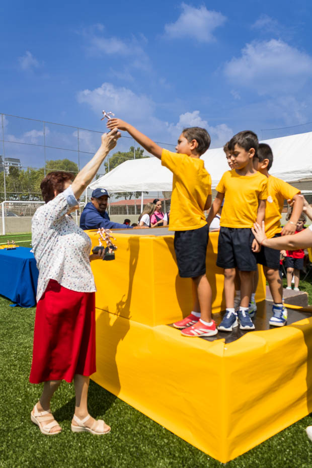 Ir a la Siguiente Foto