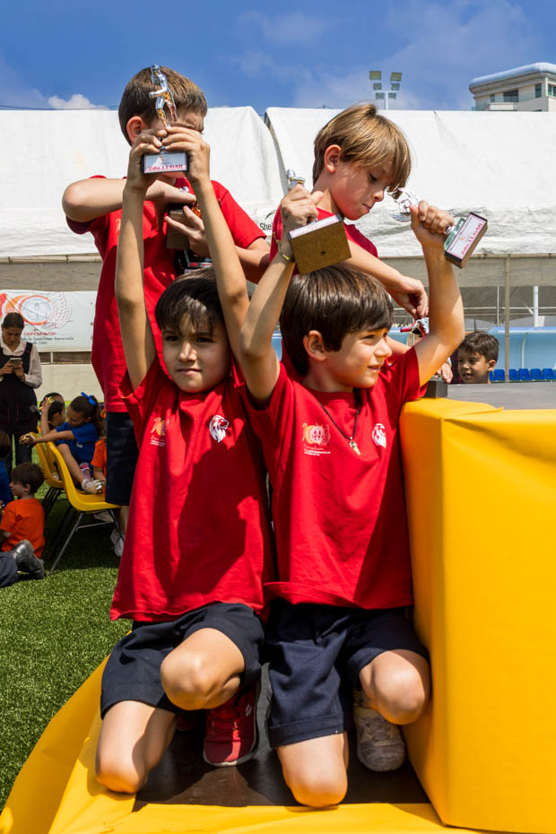 Ir a la Siguiente Foto