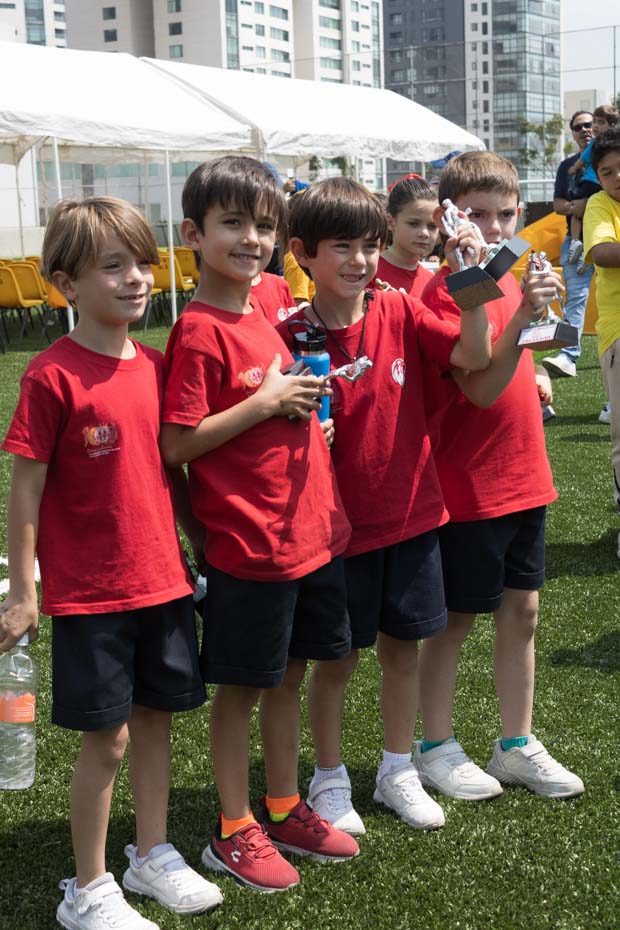 Ir a la Siguiente Foto