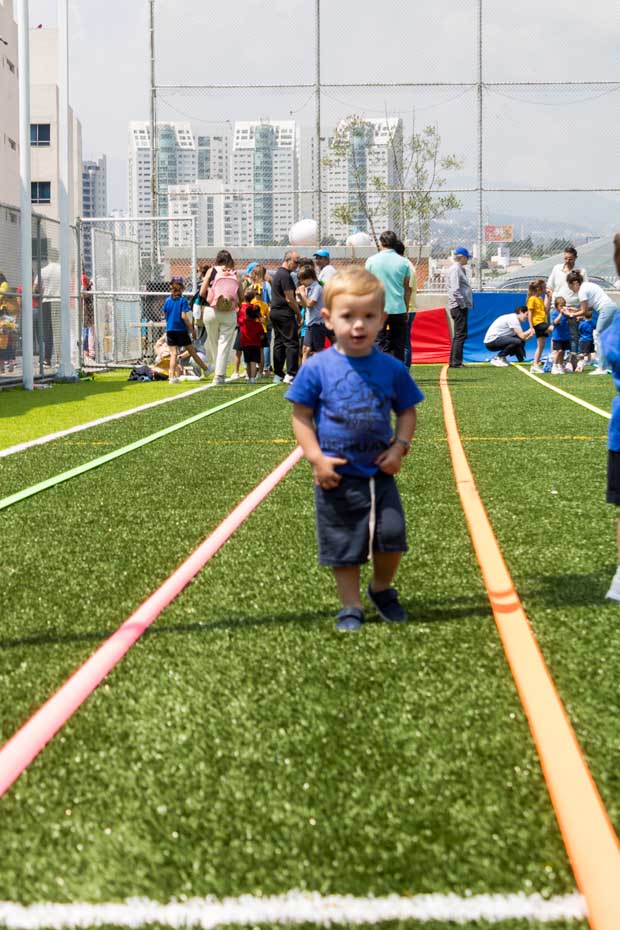 Ir a la Siguiente Foto