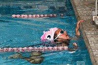 24052025miniolimpiadas2025_finales1273.jpg