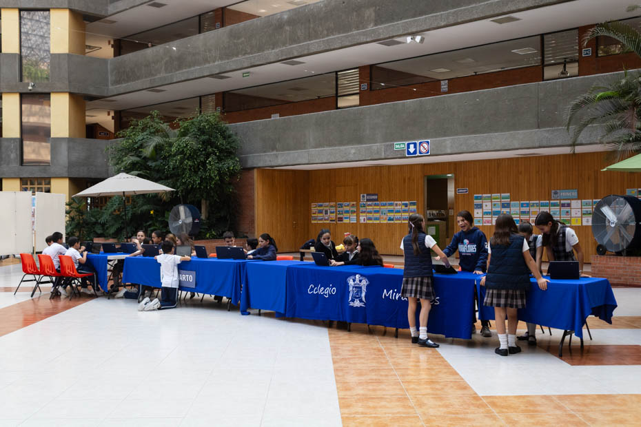 Ir a la Siguiente Foto