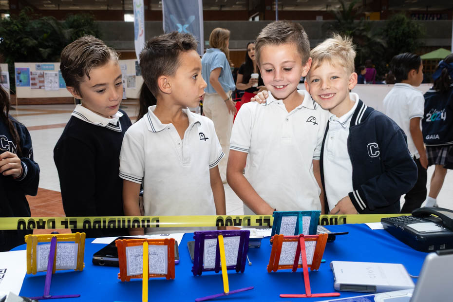 Ir a la Siguiente Foto