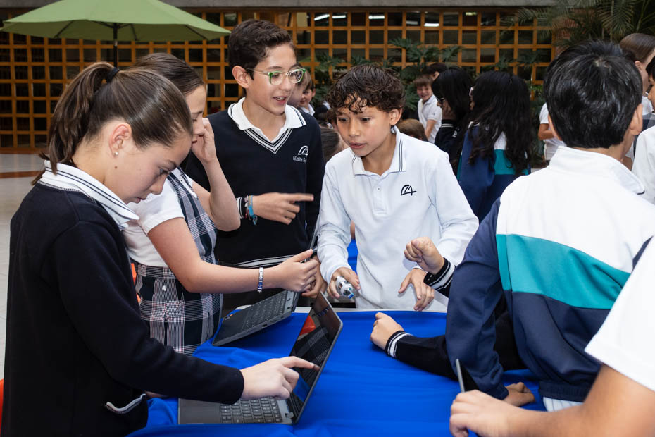 Ir a la Siguiente Foto